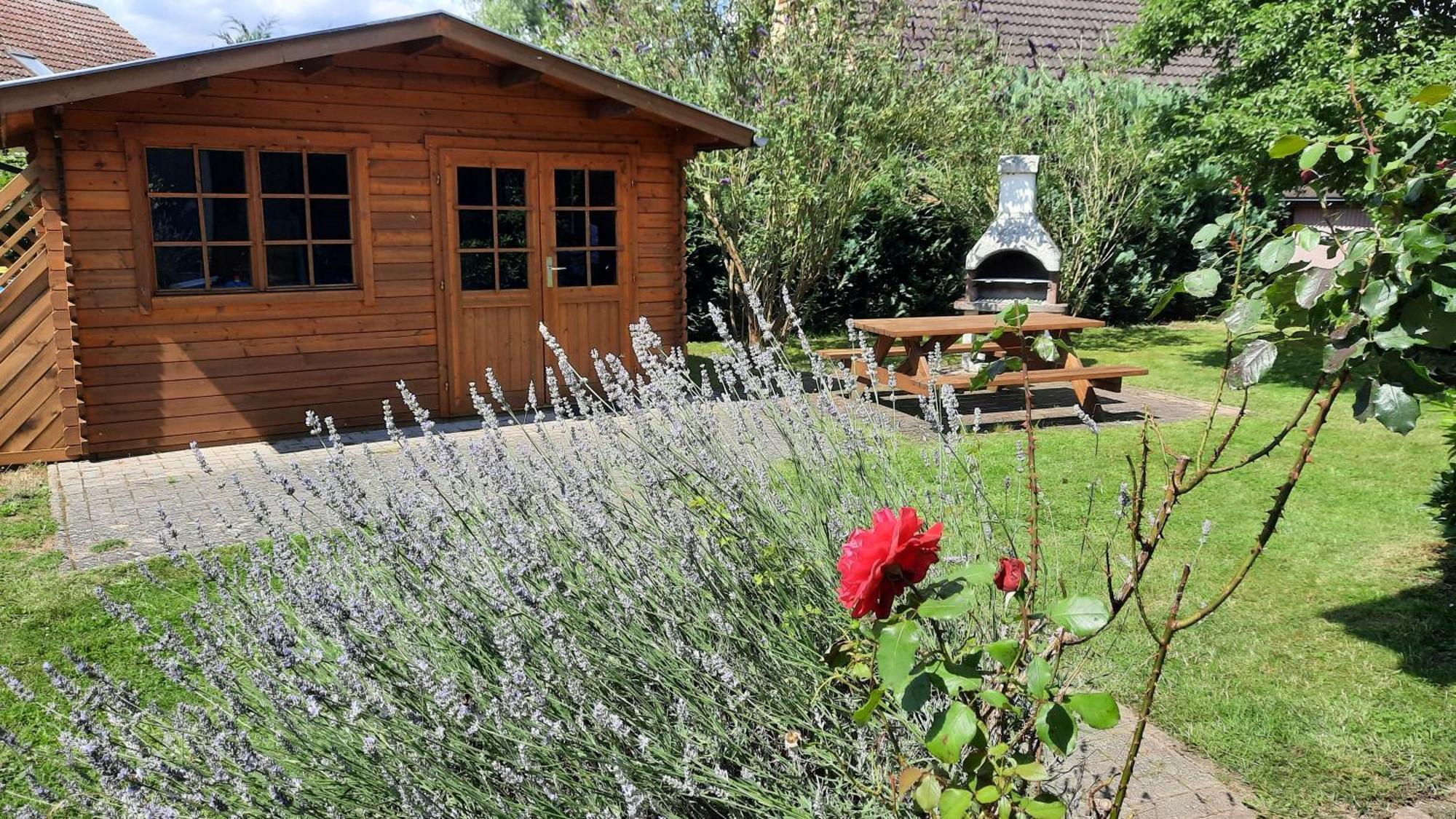 Molschow Ferienhaus Sasse Ferienwohnungen Mit Garten & Grill מראה חיצוני תמונה